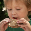兒童多吃粗糧 成年不易患心臟病